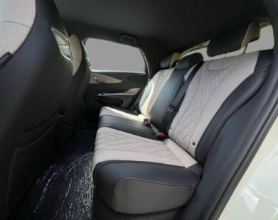 Design Futurista e Funcional - BYD Dolphin